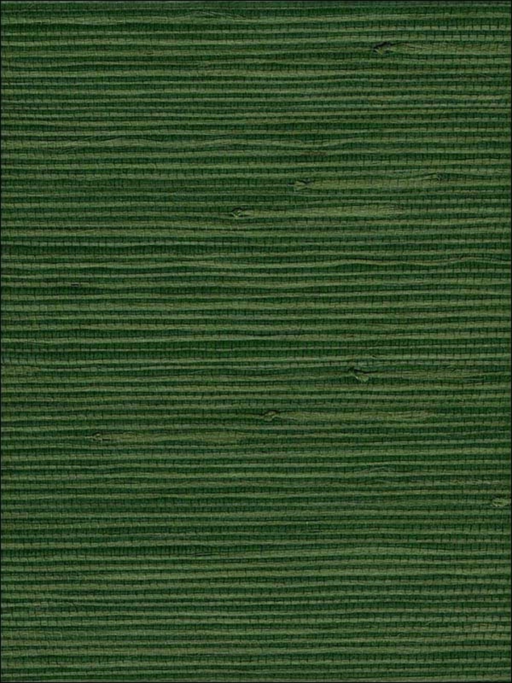 New Anthropologie x Seabrook NA305 Jute Green Grasscloth Wallpaper
